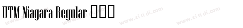 UTM Niagara Regular字体转换
